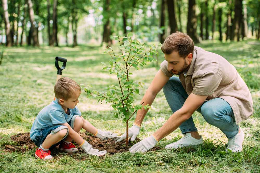 Vater und Sohn pflanzen einen Baum
