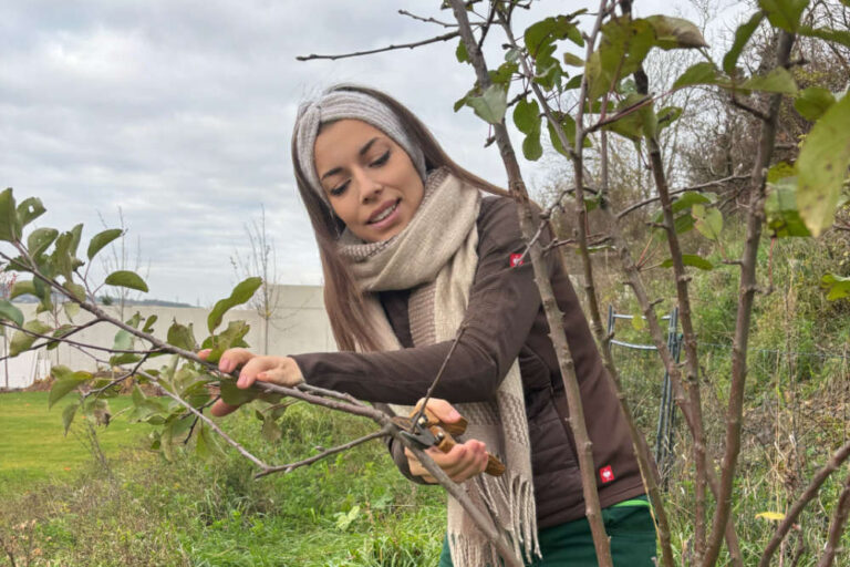 Leitfaden: Obstbaumschnitt | Verena Hagl