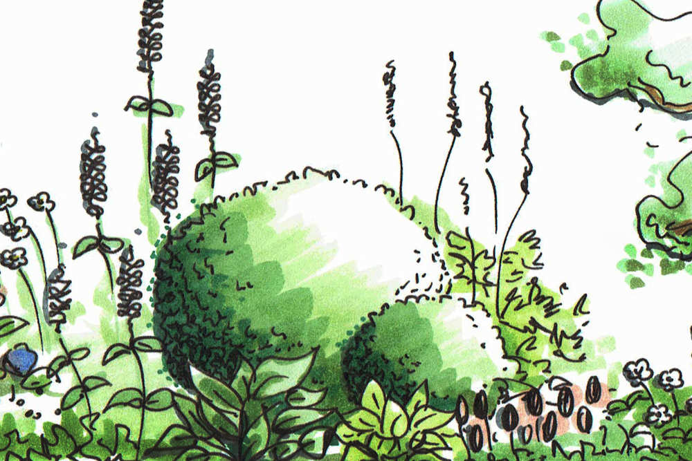 Beetgestaltung mit kontrastreichen Pflanzen, Gartengestaltung
