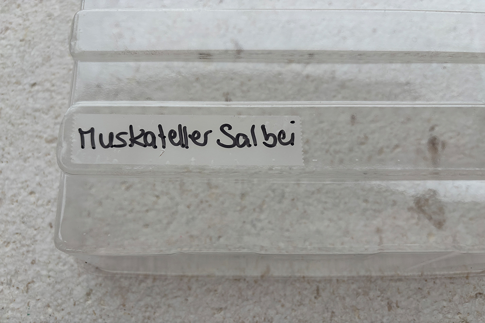 Beschriftung mit ablösbarem Klebeband