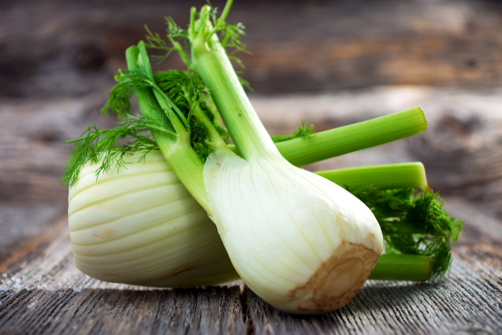 Fenchel