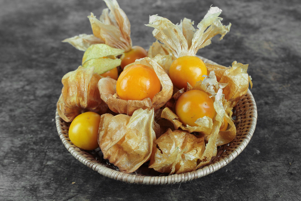 Physalis oder Andenbeere