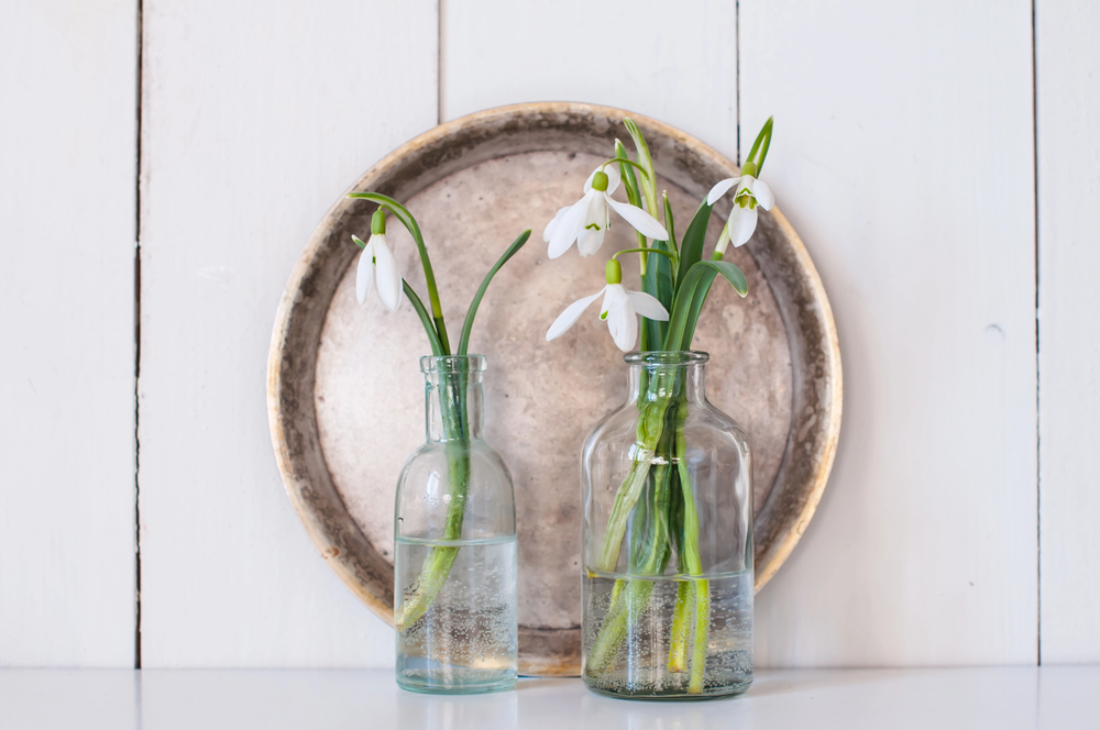 Schneeglöckchen in einer Vase, dahinter ein silberner Teller