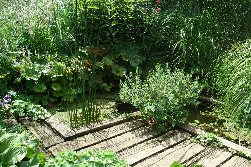 verwunschenes Wasserbecken