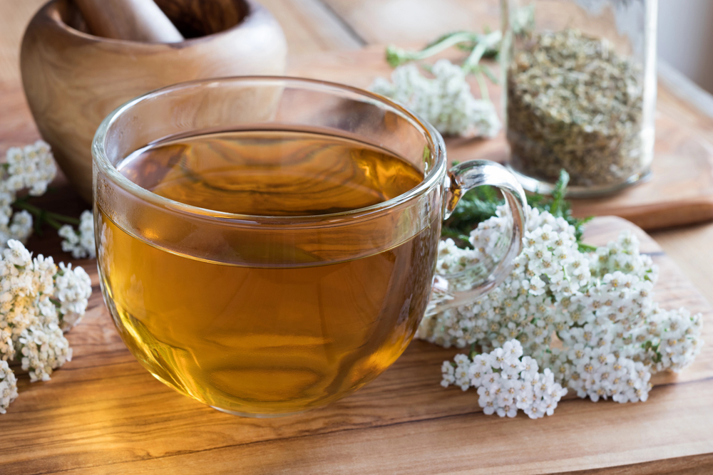 Schafgarbe (Achillea millefolium) Tee