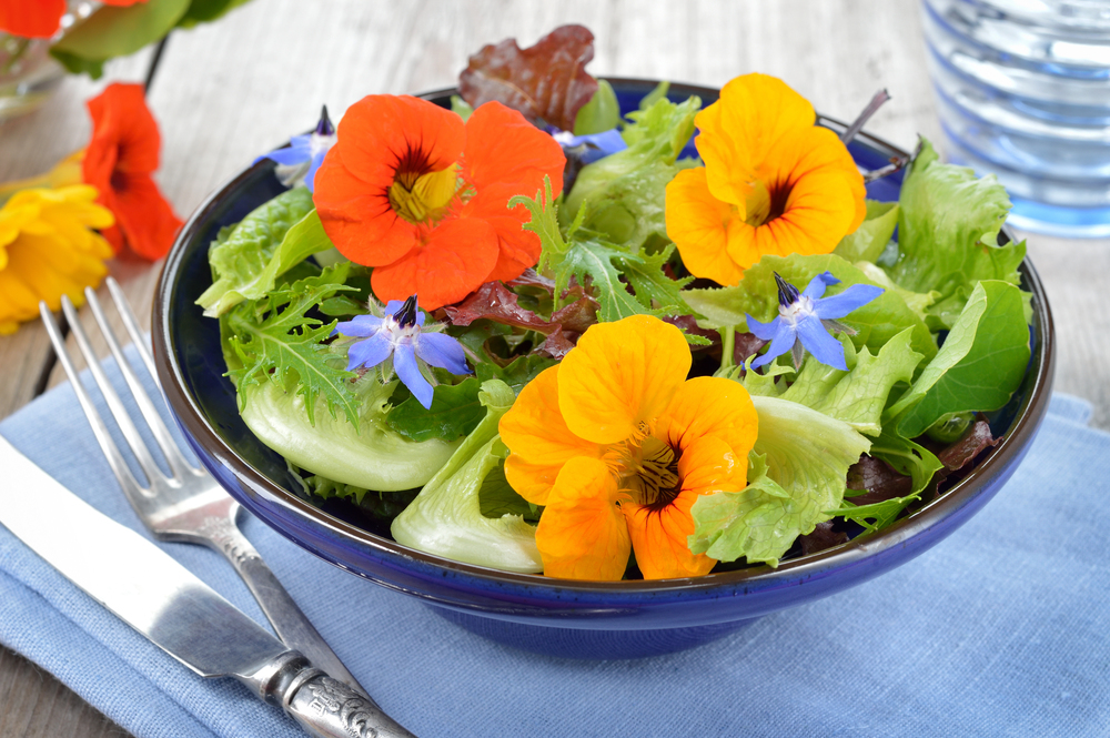 bunter Blütensalat mit Kapuzinerkresse